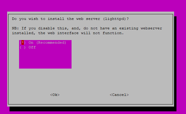 Pi Hole - Install Options - 10