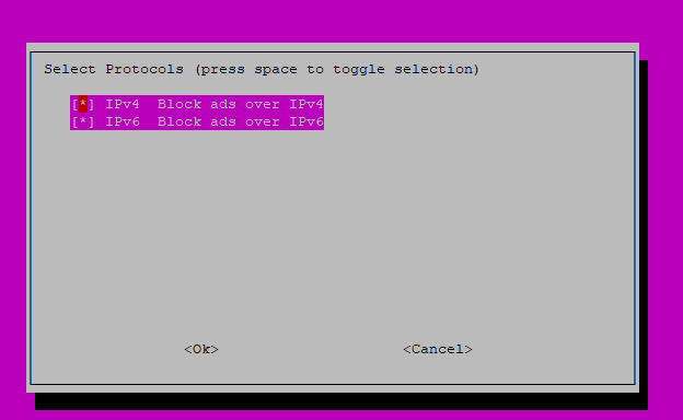 Pi Hole - Install Options - 6