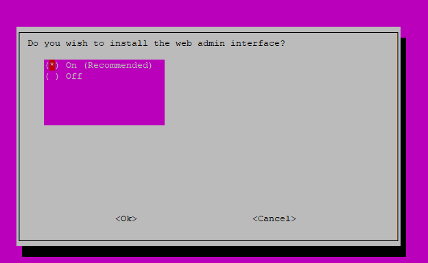 Pi Hole - Install Options - 9